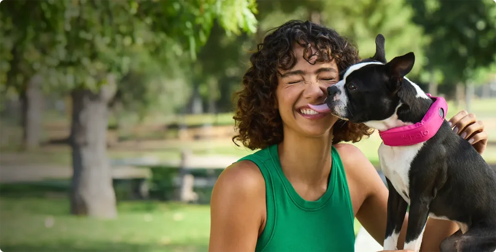 Invisible Dog Fence for Sloped Terrain