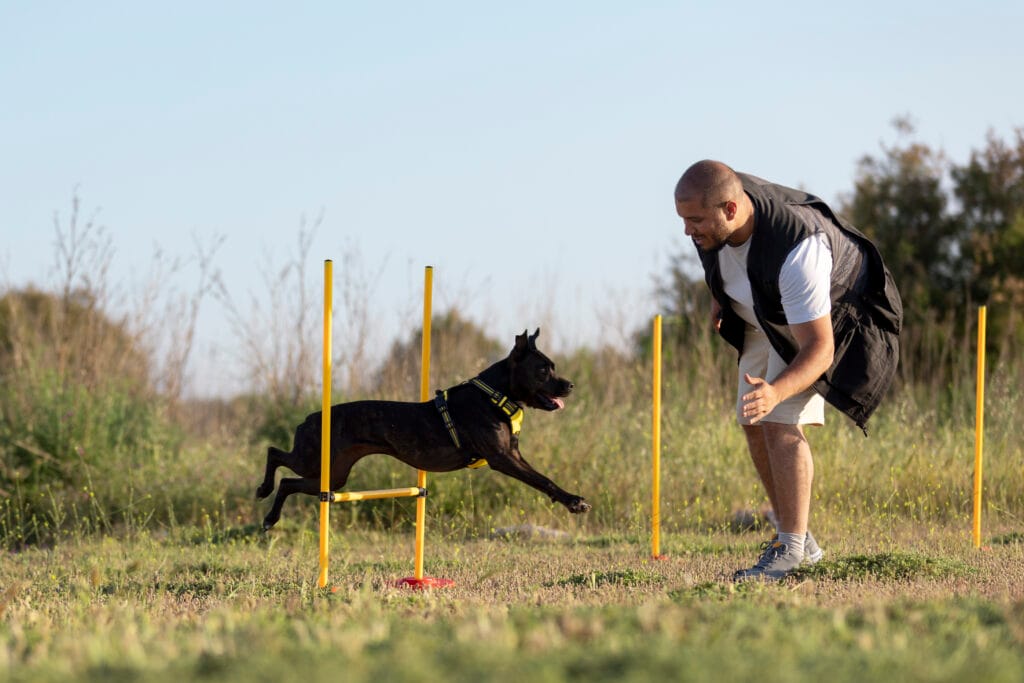 Underground Dog Fence Installation